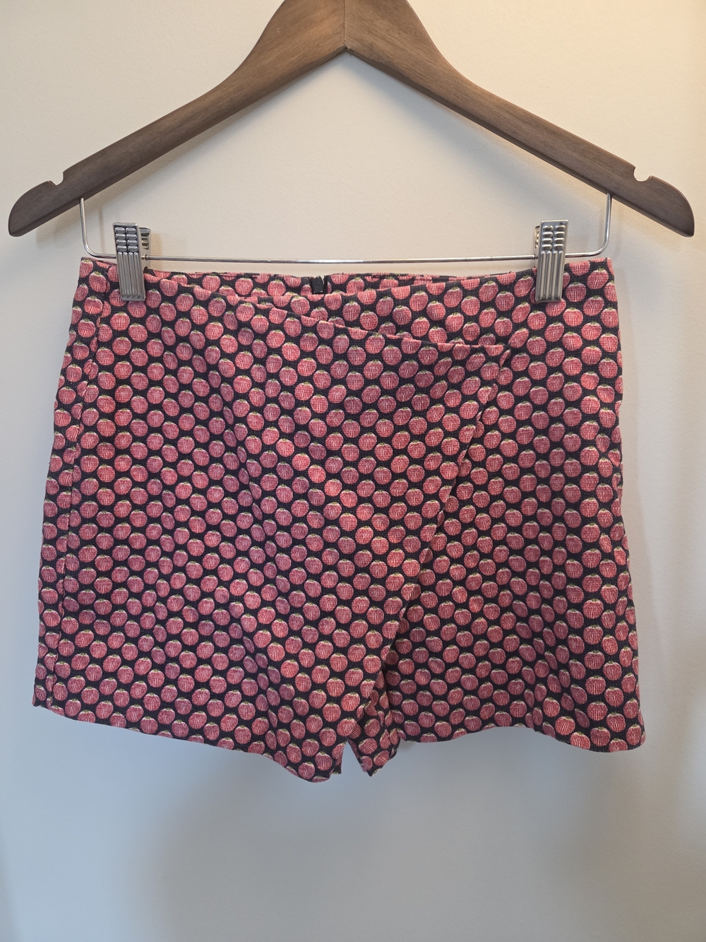 Zara Strawberry Print  Women’s Shorts Size XS
